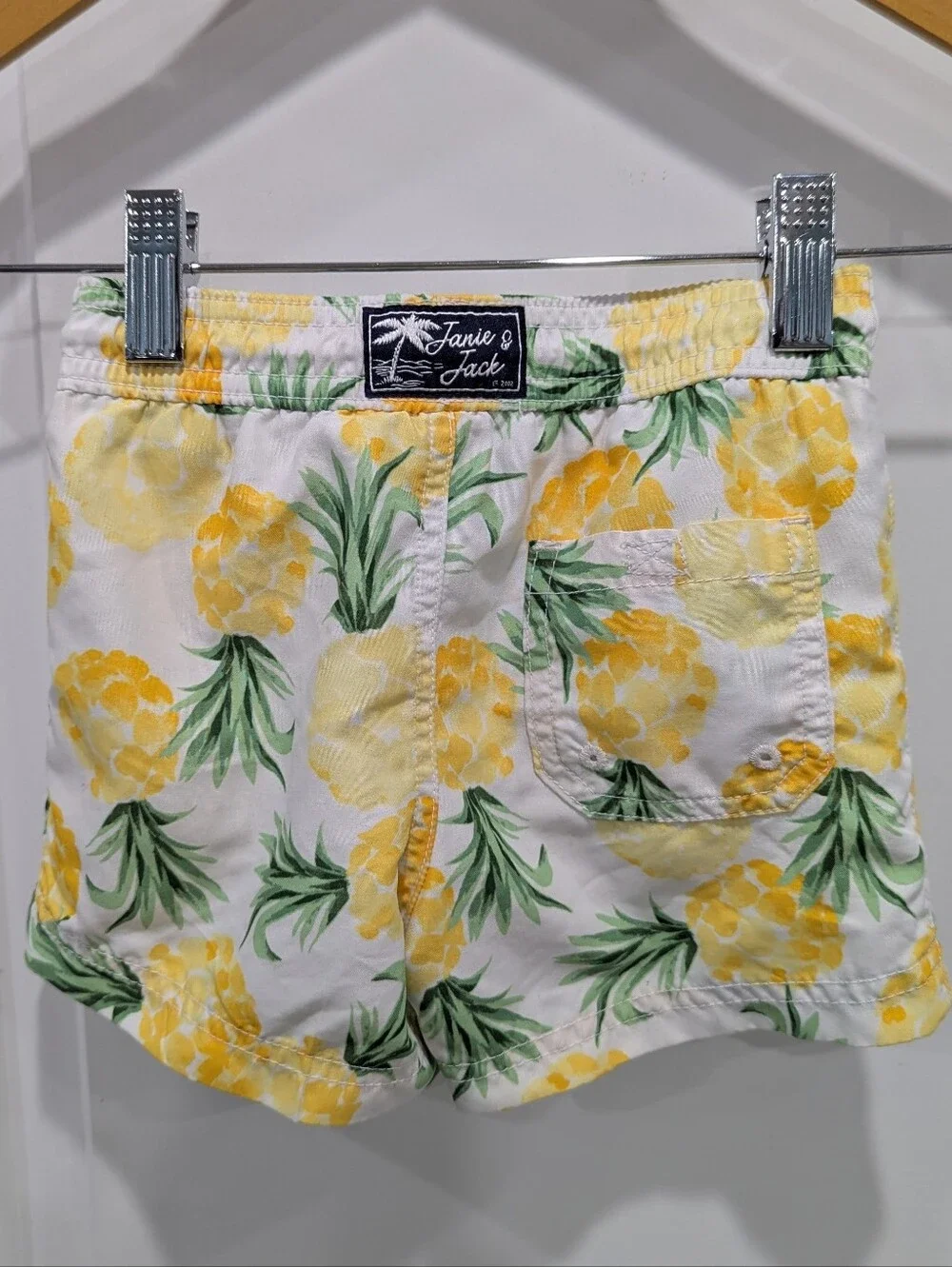 Janie And Jack Kids Swimsuit Swim Trunks Yellow Pineapple Swimming Boys Size 2T